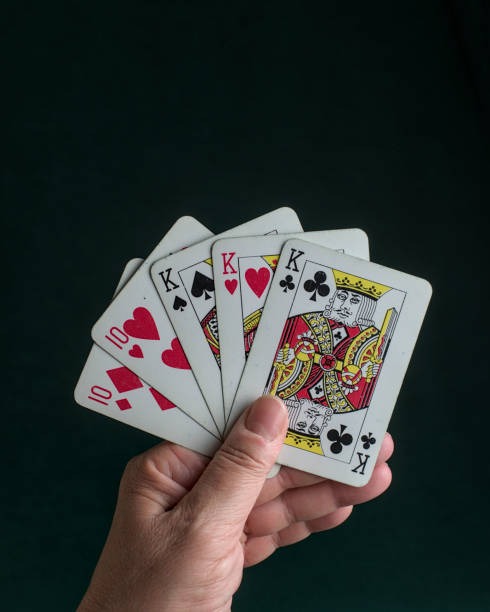 Dragon Tiger live table with multilingual dealer and side-bet options